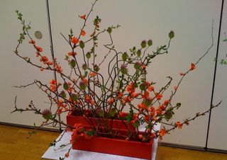 Ikebana4